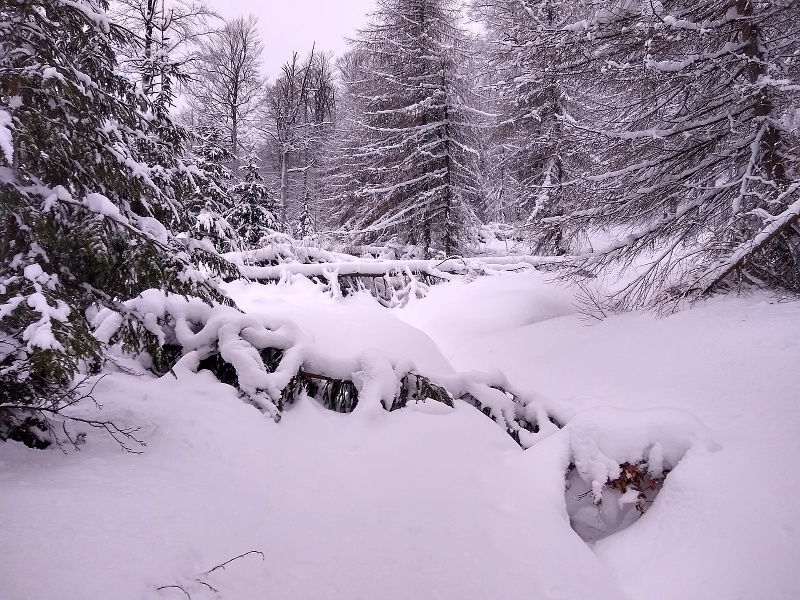 20190127 Oblernhau Zinnwald 03 small
