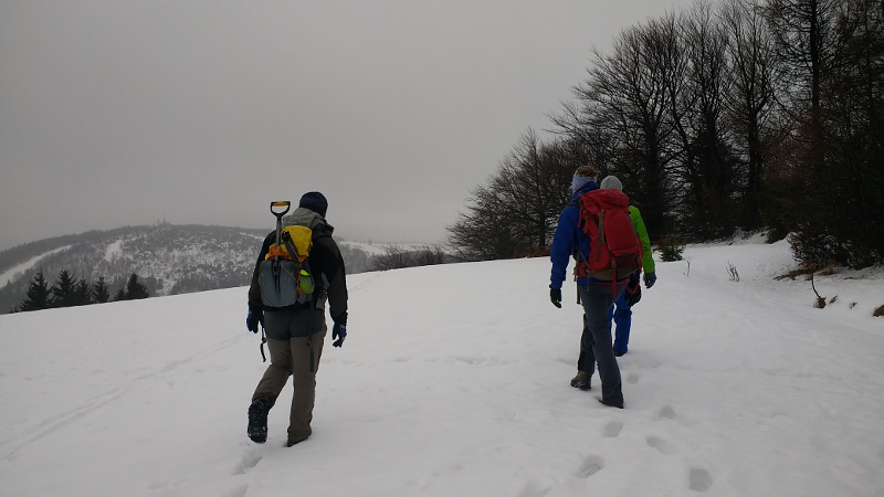 lvs kurs 20180128 01