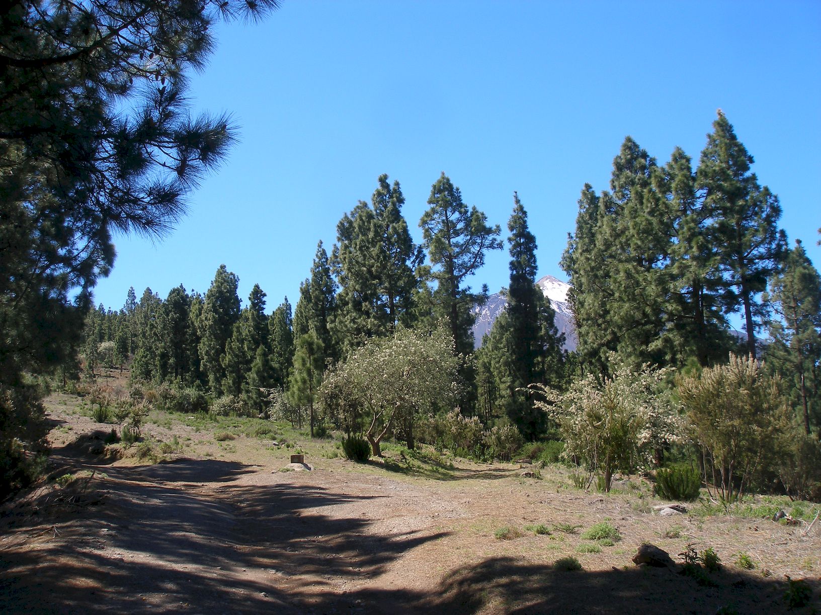 18040523Teide zeigt sich low