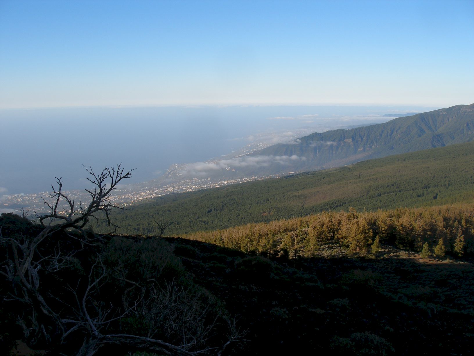 18040537Abendblick Orotava low