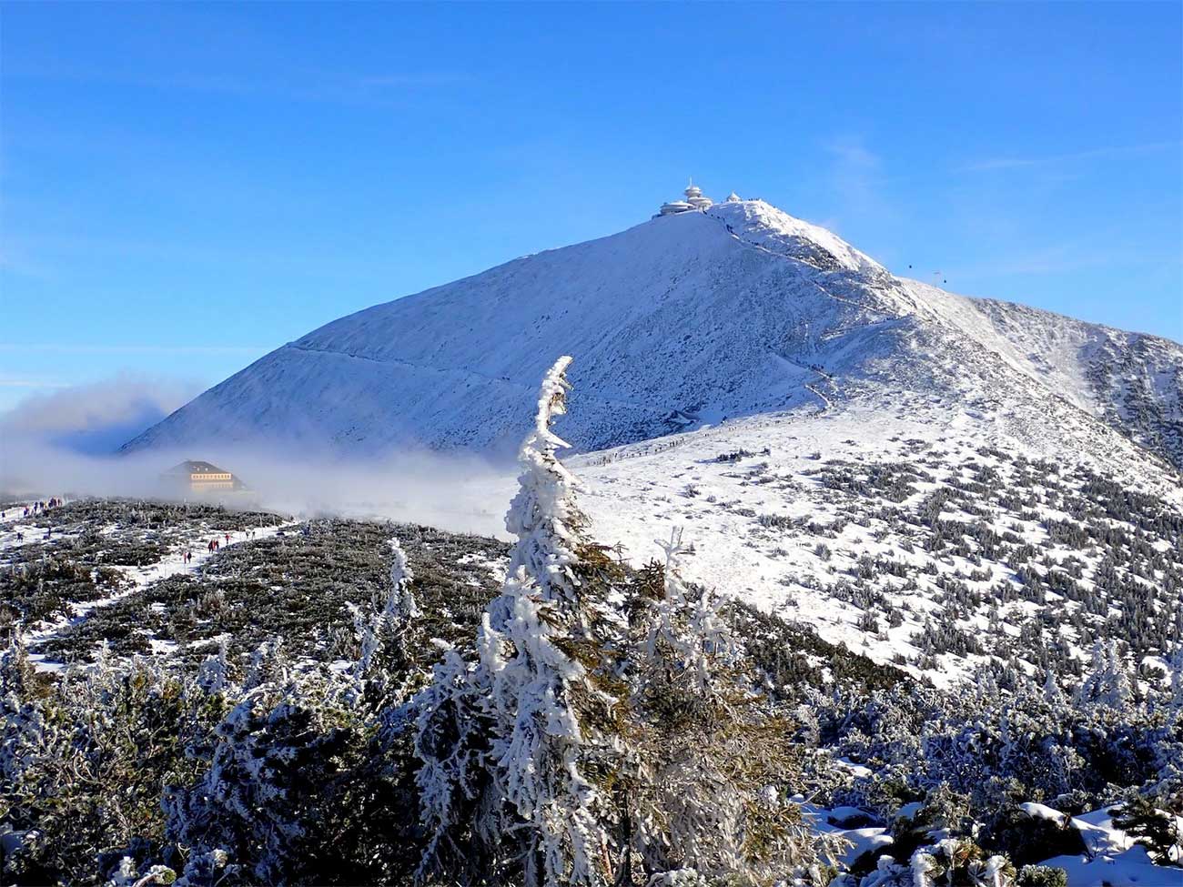 10 Perlenschnur Schneekoppe kul low