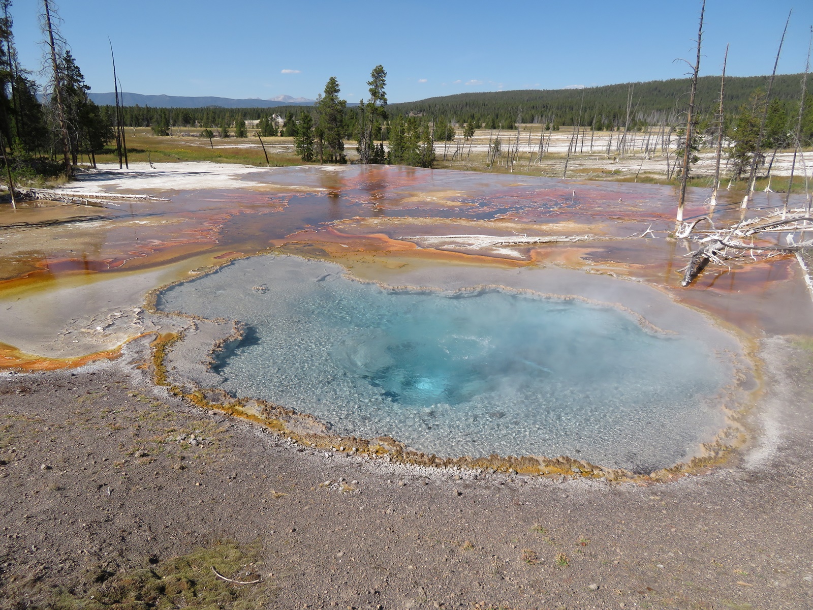 Yellowstone klein 0621