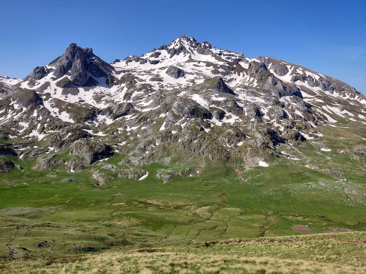 Hirsch 1