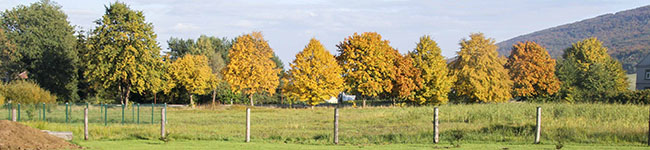 img_5310aaa.jpg