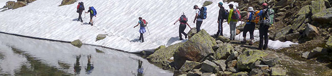 10_banner_650_200.jpg