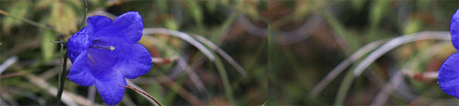 22_banner_650_200.jpg