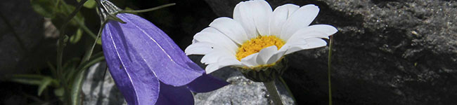 23_banner_650_200.jpg