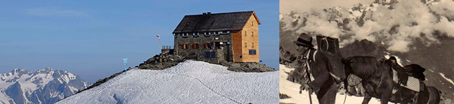46_banner_650_150.jpg