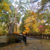 fischer_park_in_breslau_20191023_1192464420