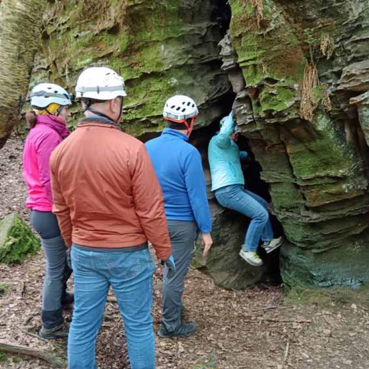 Von Dunkelheit, Höhlenspinnen und der kleinen Hufeisennase