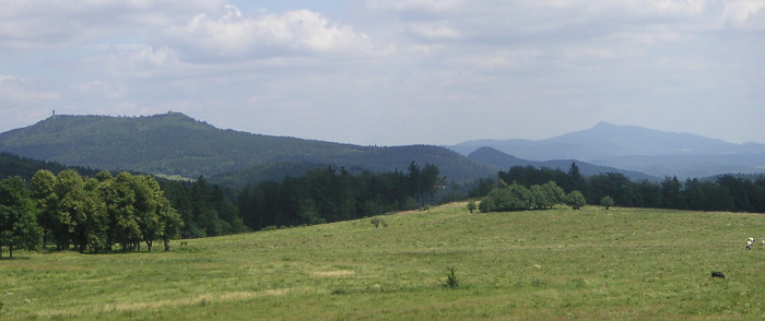 hochwald jeschken sommer