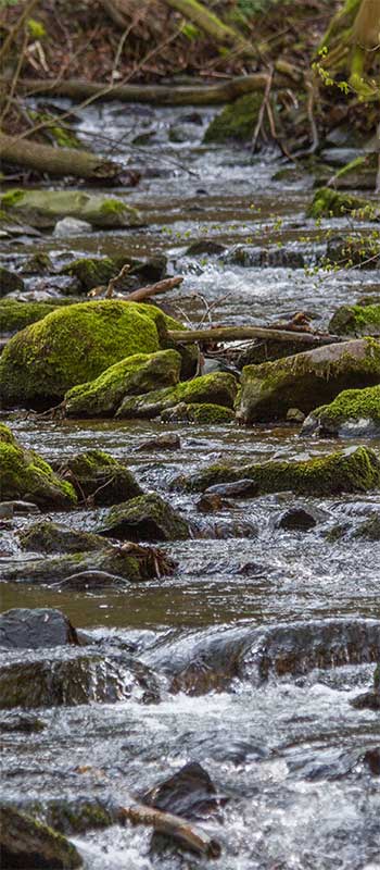 Natur3.jpg