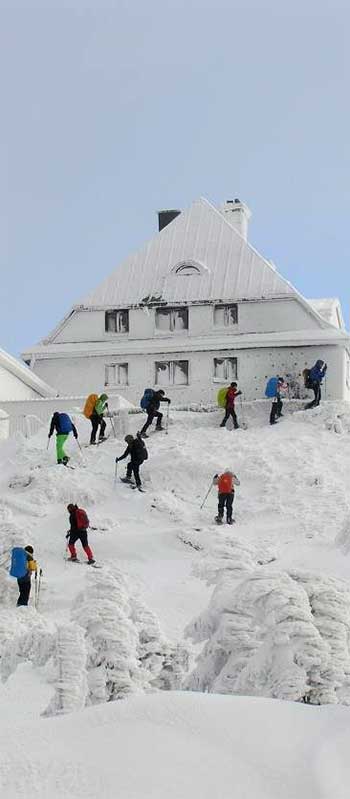 schneeschuh_2017.jpg